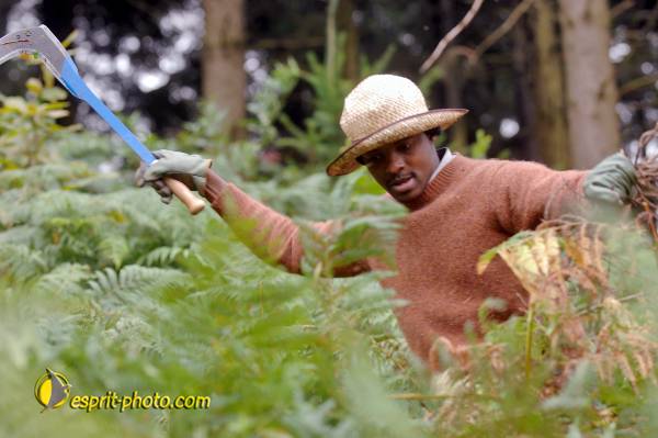 Nom de l'image : D2240108_1 — Description :