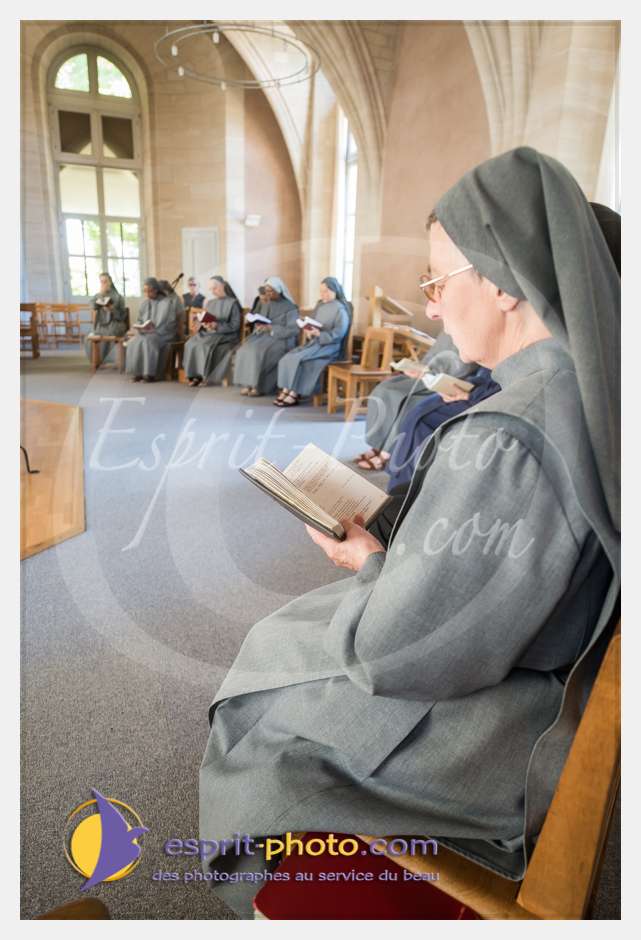 Nom de l'image : D8e040878_(c)esprit-photo.com — Description :