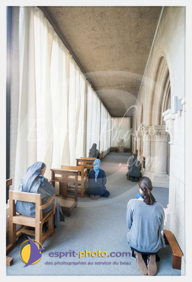 Nom de l'image : D8e041779_(c)esprit-photo.com — Description :