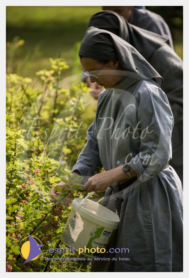 Nom de l'image : D8e042057_(c)esprit-photo.com — Description :