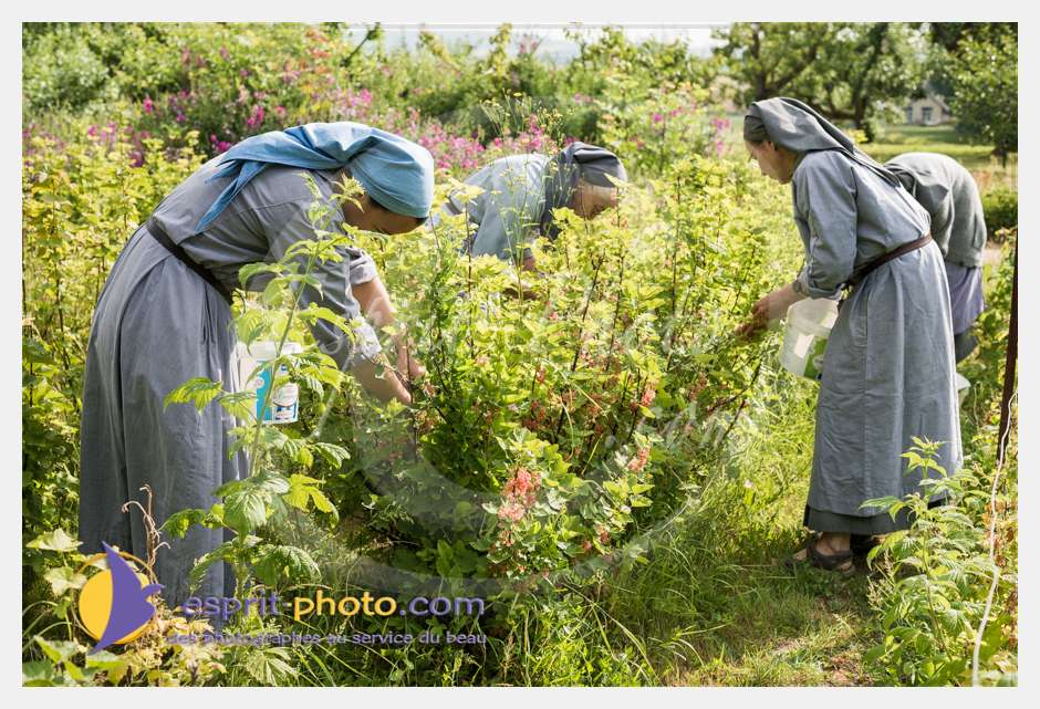 Nom de l'image : D8e042074_(c)esprit-photo.com — Description :