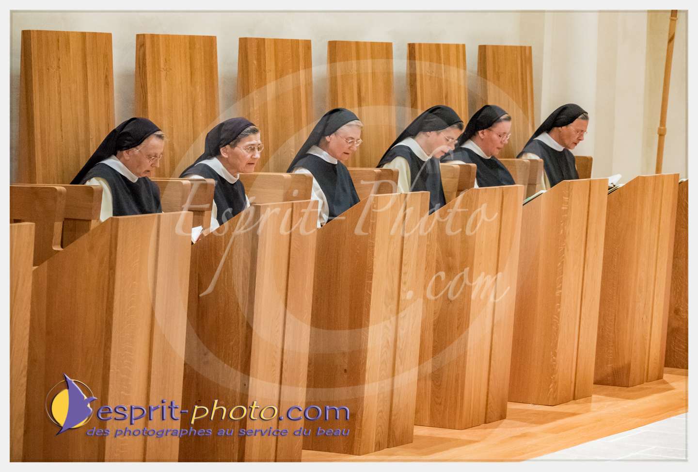 Nom de l'image : 019_S1086613_c_PhotoGraphiePro — Description :  S1086613