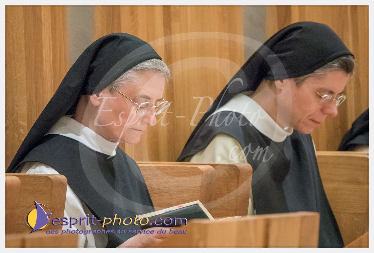 Nom de l'image : 020_S1086616_c_PhotoGraphiePro — Description :  S1086616