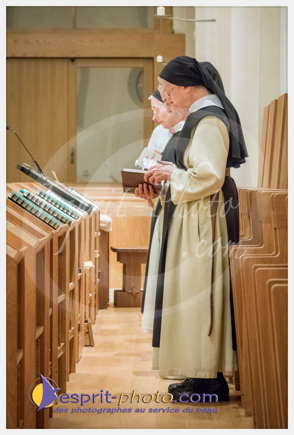 Nom de l'image : 022_S1086634_c_PhotoGraphiePro — Description :  S1086634