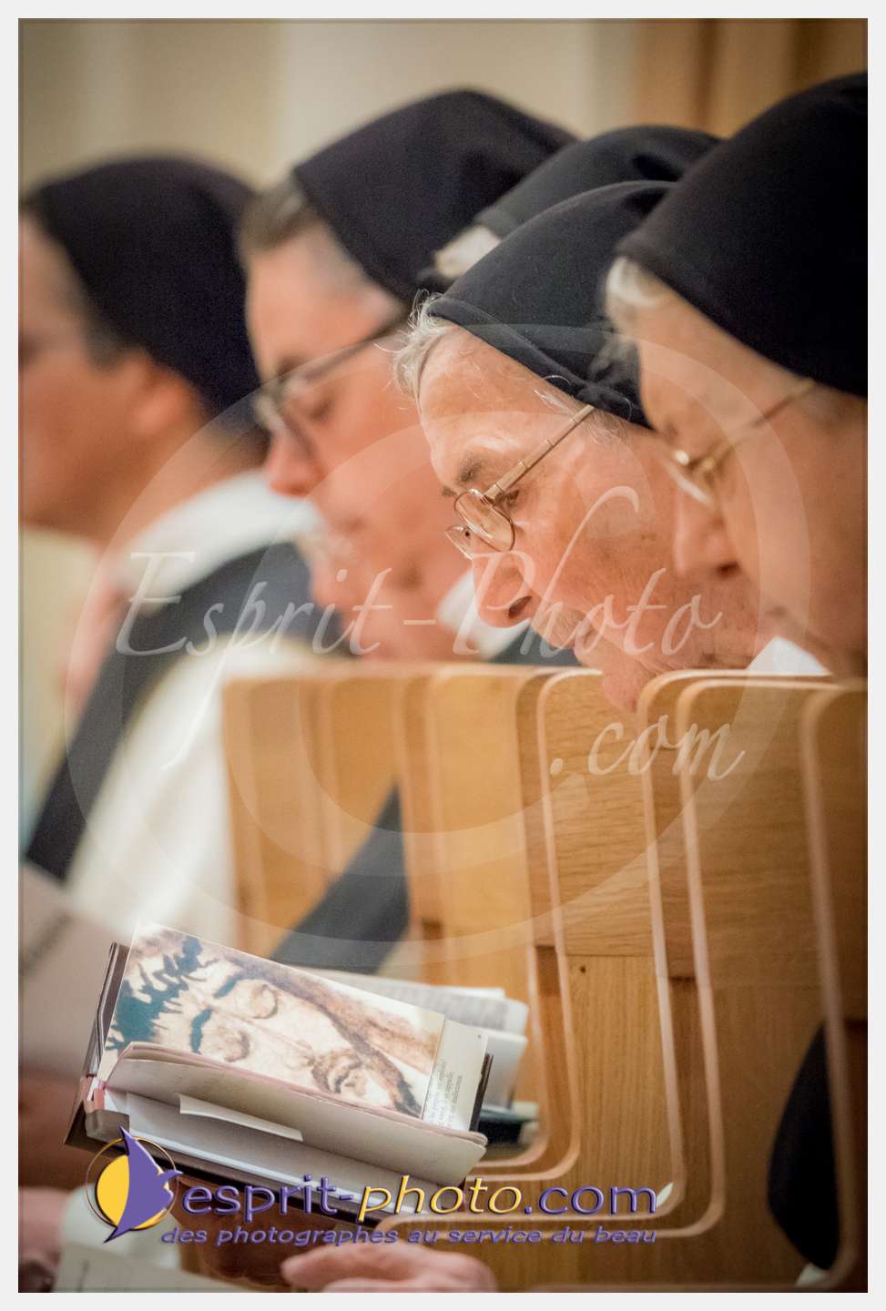 Nom de l'image : 024_S1086641_c_PhotoGraphiePro — Description :  S1086641