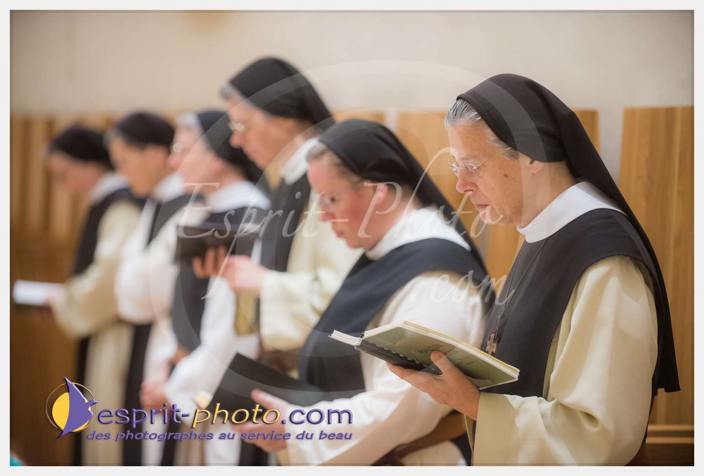 Nom de l'image : 030_D8e140301_c_PhotoGraphiePro — Description :  D8e140301