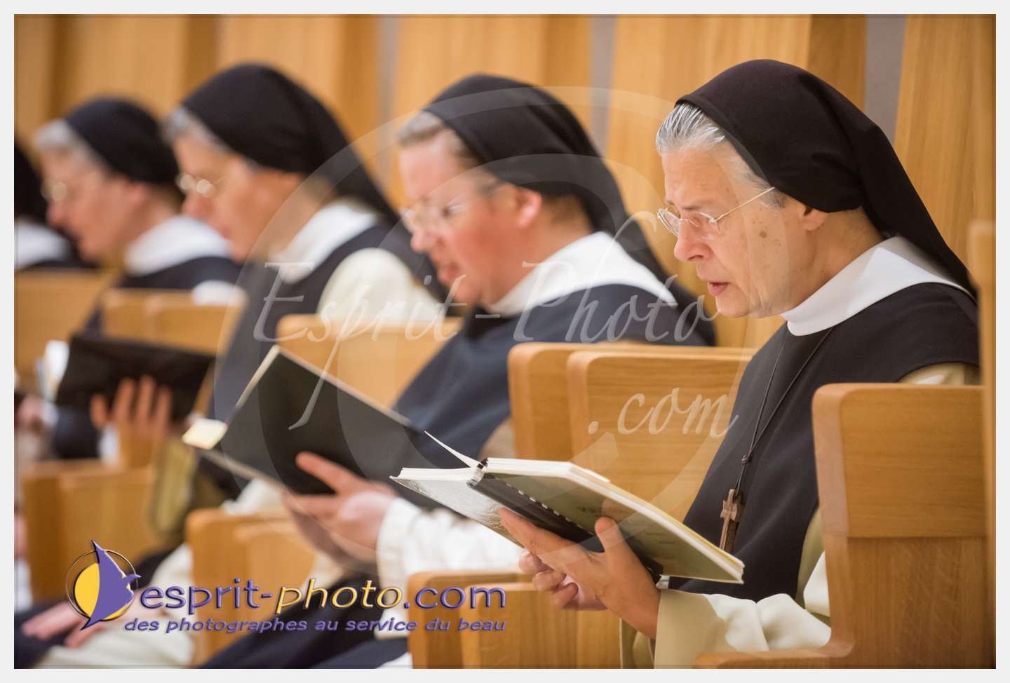 Nom de l'image : 031_D8e140303_c_PhotoGraphiePro — Description :  D8e140303