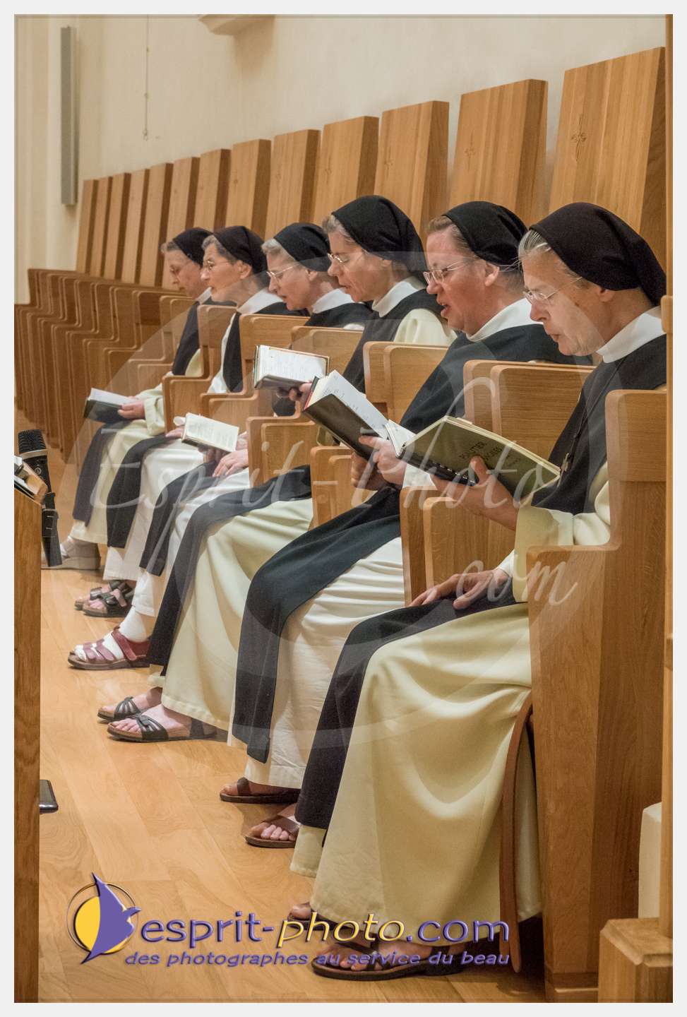 Nom de l'image : 032_S1086676_c_PhotoGraphiePro — Description :  S1086676