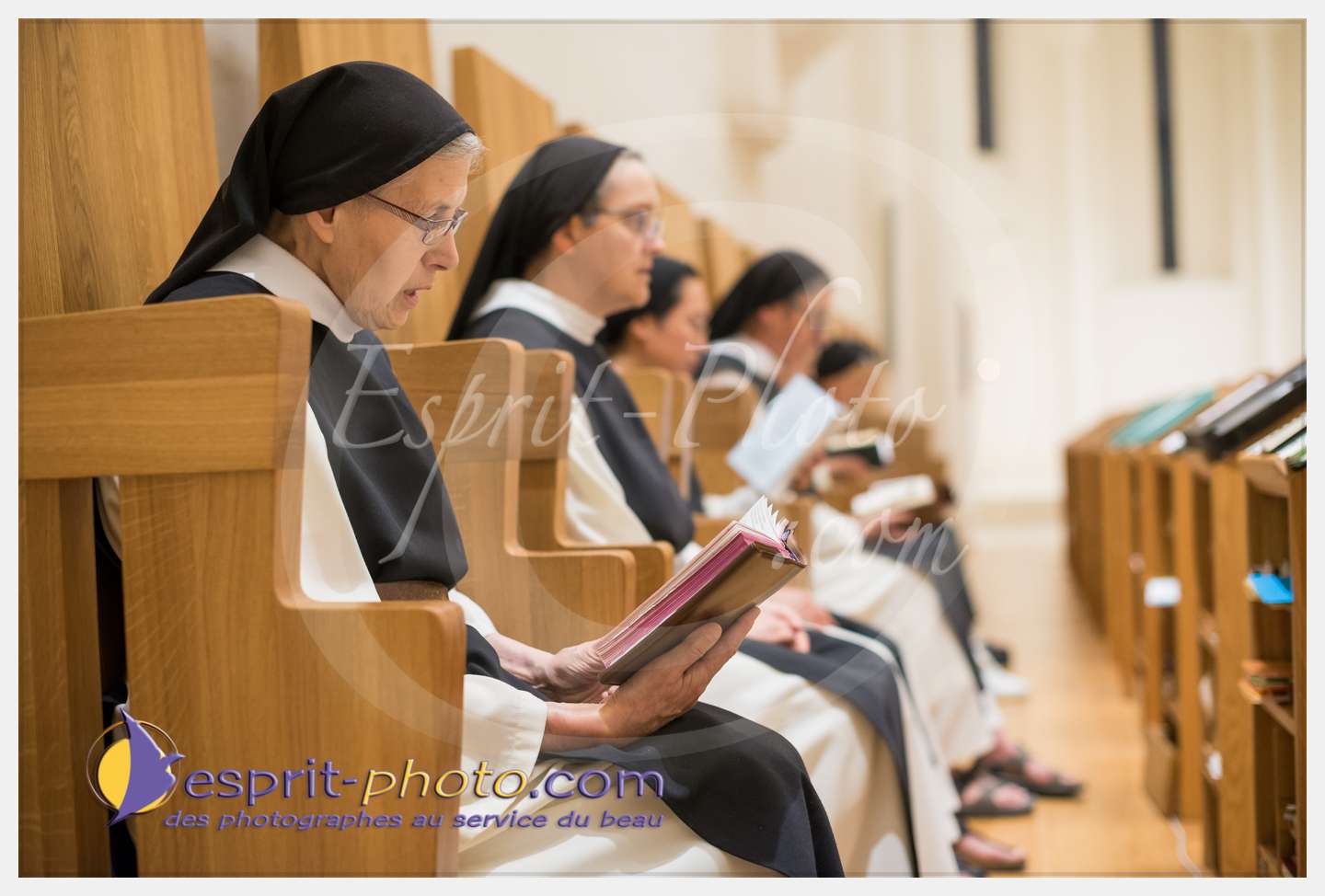 Nom de l'image : 033_D8e140338_c_PhotoGraphiePro — Description :  D8e140338