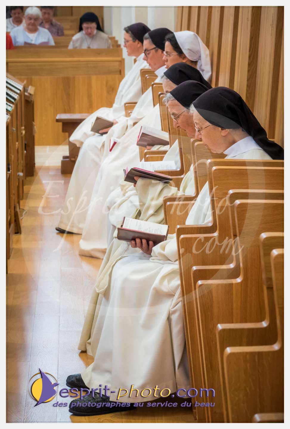 Nom de l'image : 103_S1086803_c_PhotoGraphiePro — Description :  S1086803