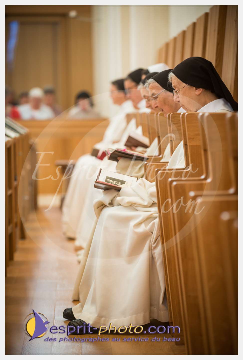 Nom de l'image : 106_D8e140681_c_PhotoGraphiePro — Description :  D8e140681