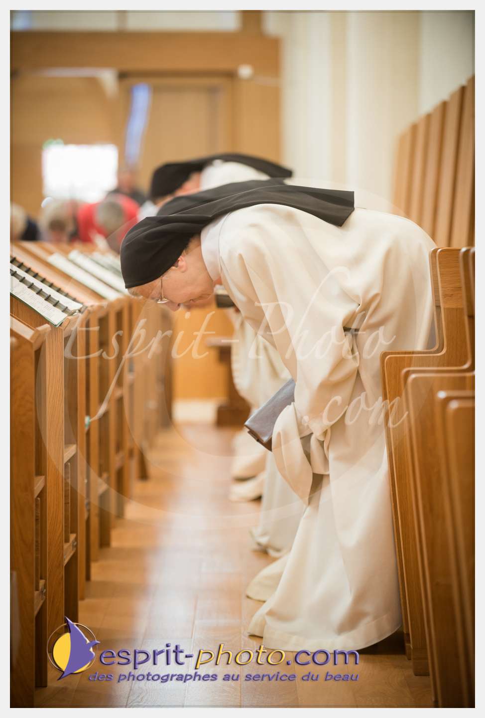 Nom de l'image : 107_D8e140686_c_PhotoGraphiePro — Description :  D8e140686