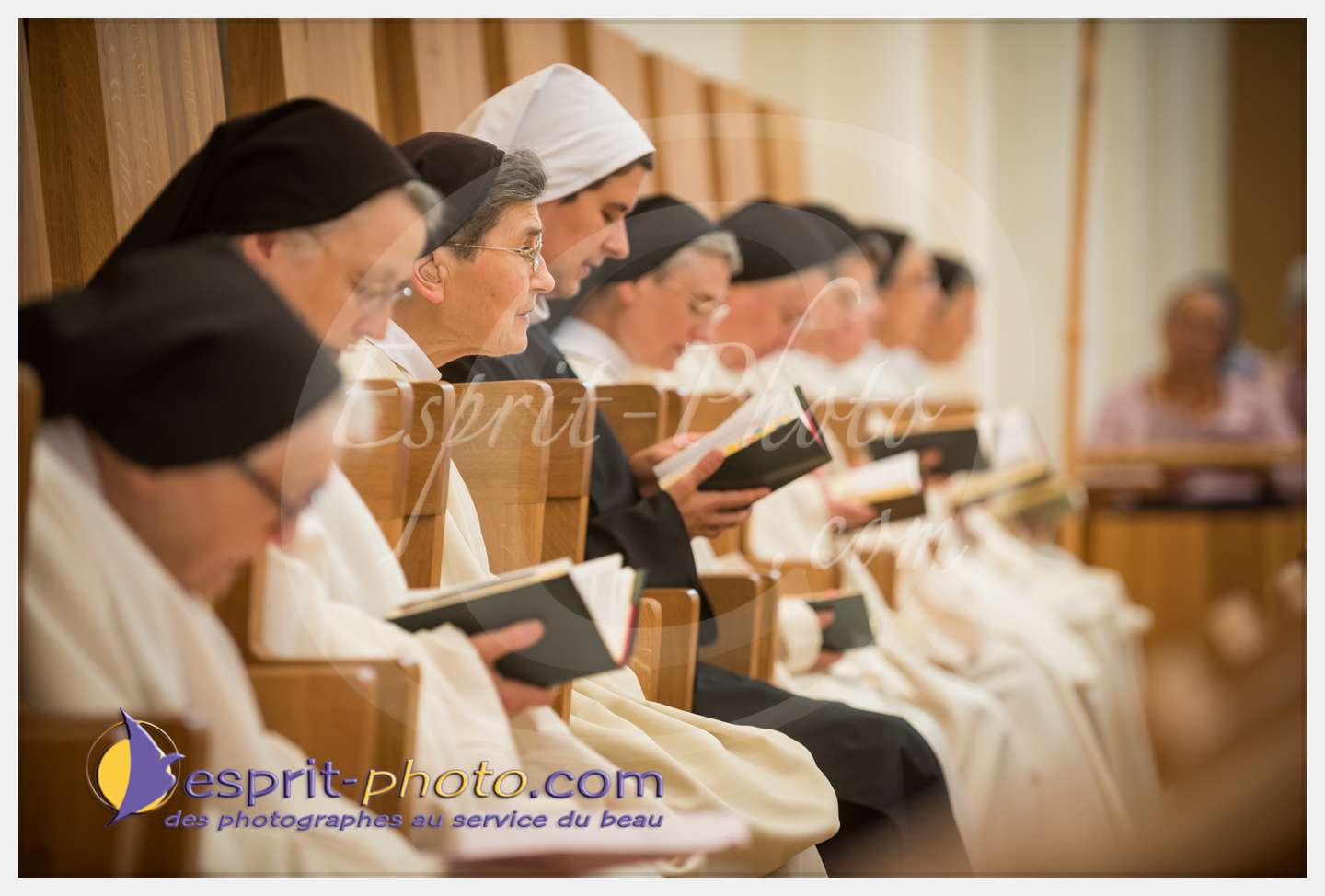 Nom de l'image : 109_D8e140700_c_PhotoGraphiePro — Description :  D8e140700