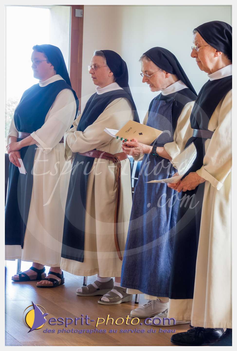 Nom de l'image : 170_S1087134_c_PhotoGraphiePro — Description :  S1087134