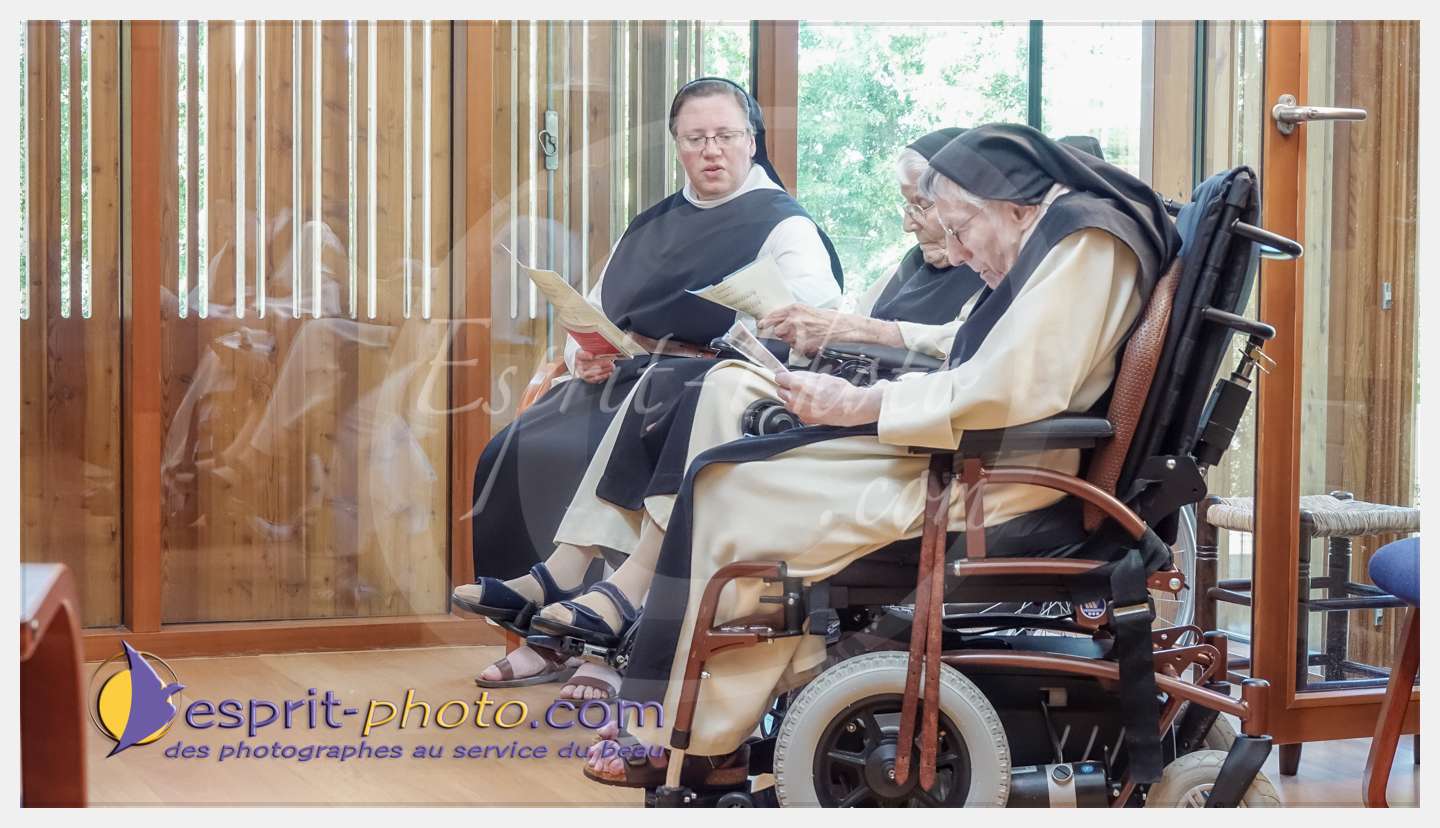 Nom de l'image : 197_S1087161_c_PhotoGraphiePro — Description :  S1087161