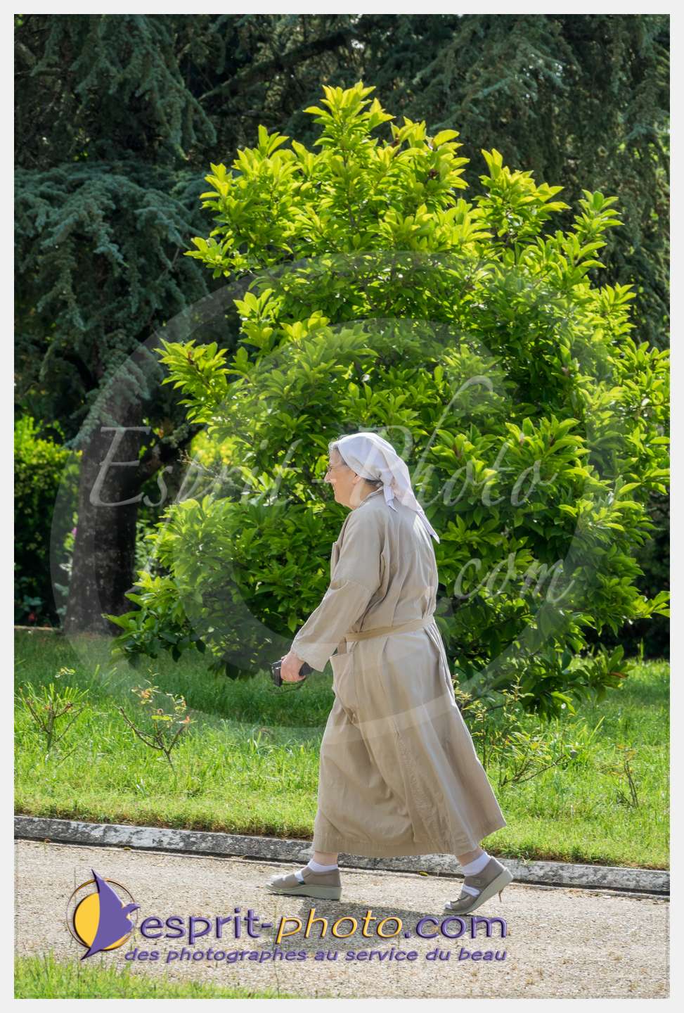 Nom de l'image : 201_S1087179_c_PhotoGraphiePro — Description :  S1087179