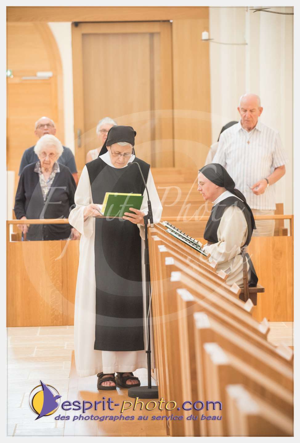 Nom de l'image : 211_D8e141308_c_PhotoGraphiePro — Description :  D8e141308