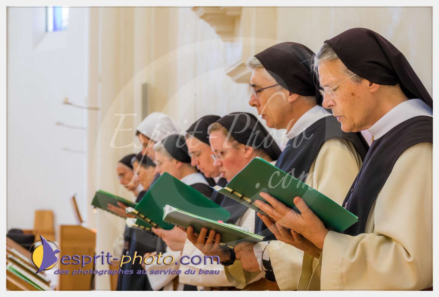 Nom de l'image : 276_S1087267_c_PhotoGraphiePro — Description :  S1087267