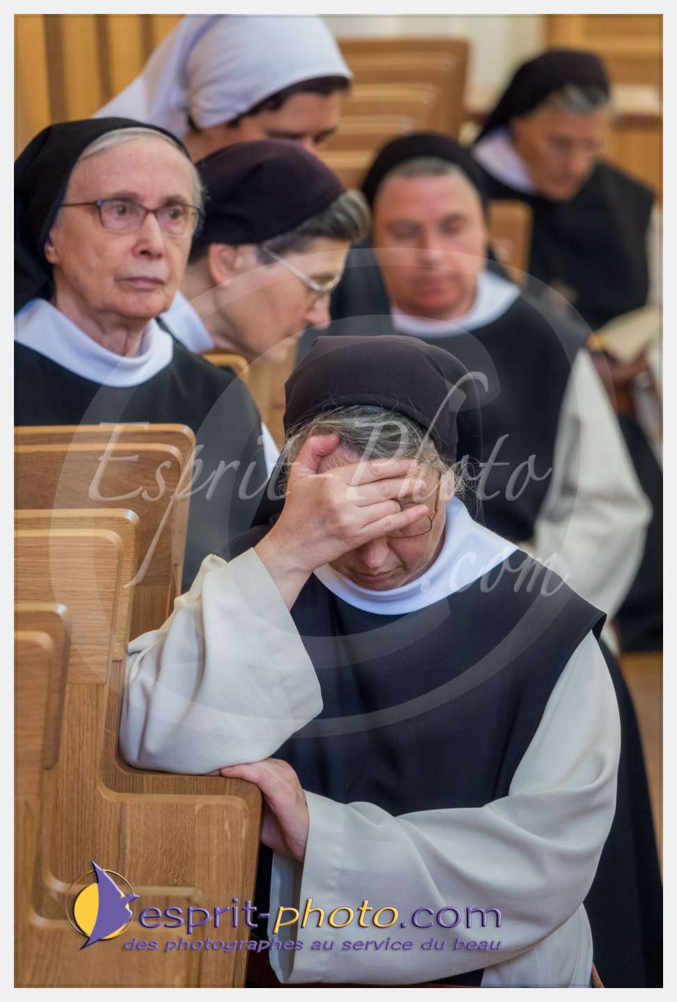 Nom de l'image : 285_S1087334_c_PhotoGraphiePro — Description :  S1087334