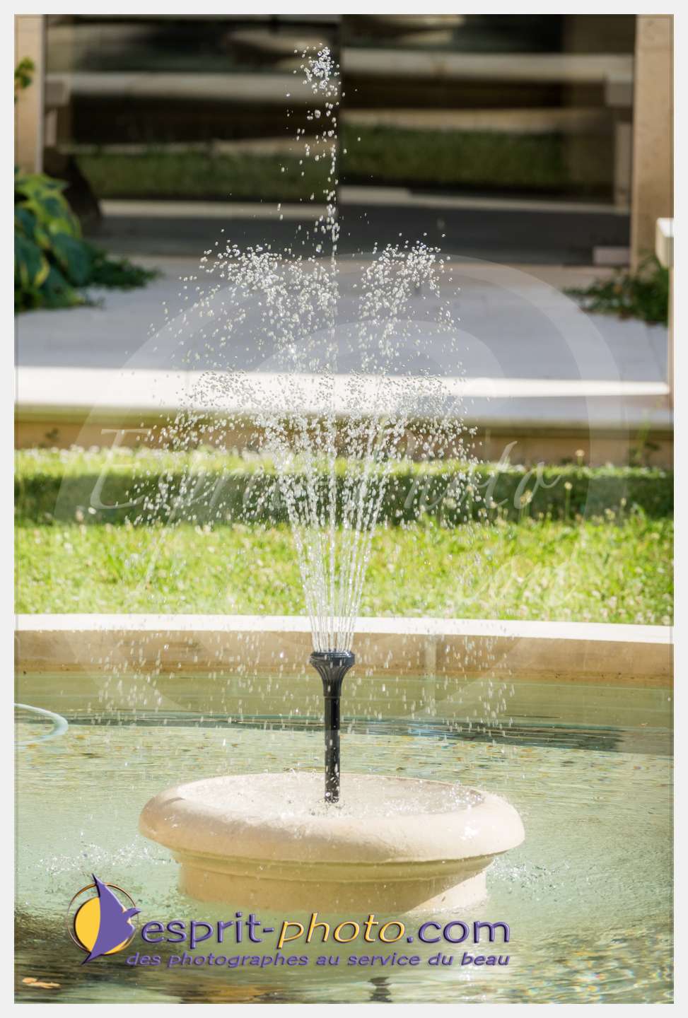 Nom de l'image : 290_S1087355_c_PhotoGraphiePro — Description :  S1087355