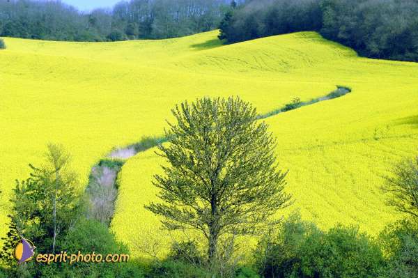 Nom de l'image : D1025067-01 — Description :