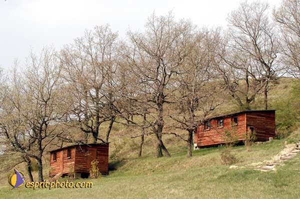 Nom de l'image : D1025255-01 — Description :