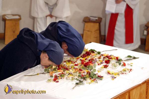 Nom de l'image : D1026008-01 — Description :