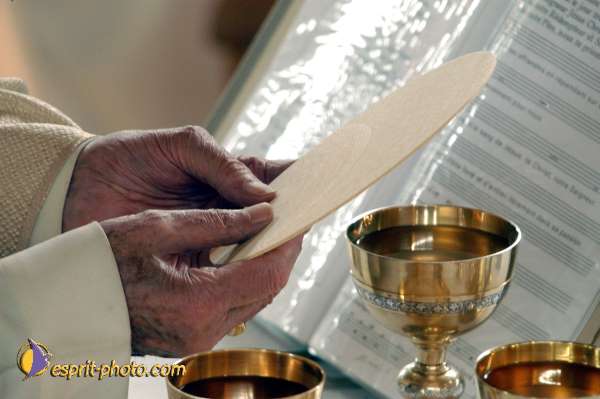 Nom de l'image : D1027754-01 — Description :