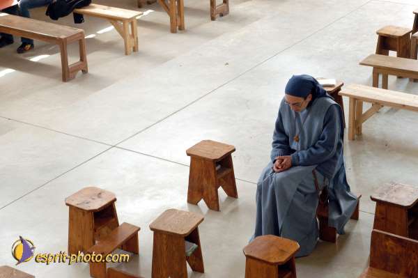 Nom de l'image : D1027840-01 — Description :