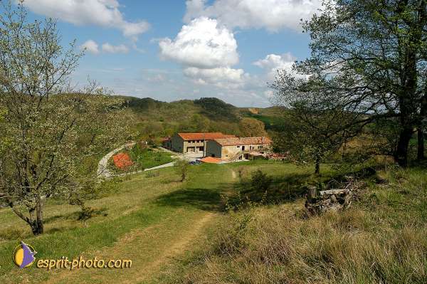 Nom de l'image : D1027866 — Description :  Pâque 2003 - Communauté de l'Agnaux - Plavilla