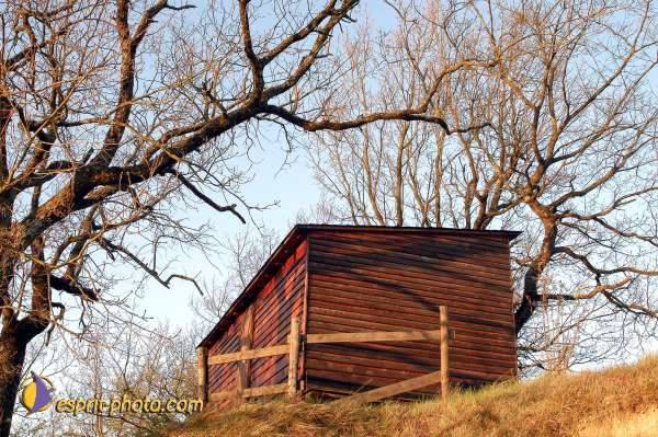 Nom de l'image : D1028064-01 — Description :