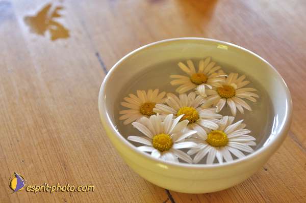 Nom de l'image : D2010352-1 — Description :