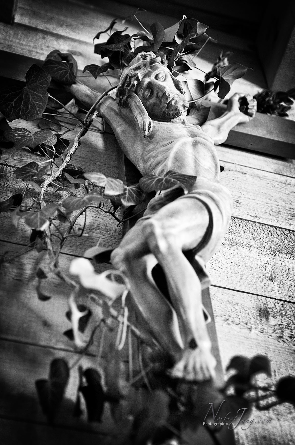 Nom de l'image : D2010368-1_(c)Norbert-Jung.com — Description :