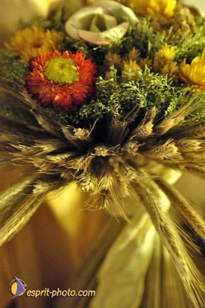 Nom de l'image : D2010398-1 — Description :