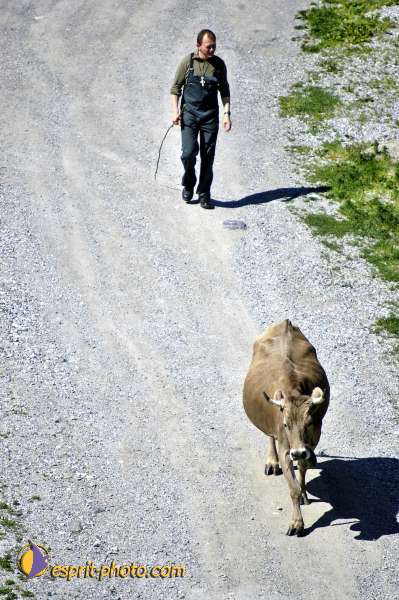 Nom de l'image : D2010504-1 — Description :
