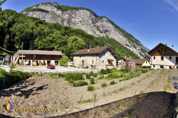 Nom de l'image : D2010776-1 — Description :