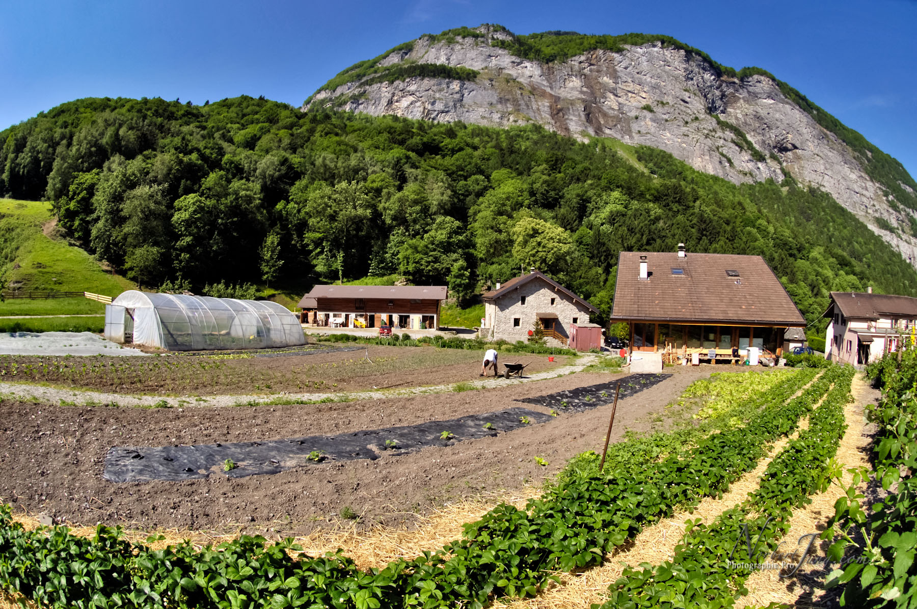 Nom de l'image : D2010778-1_(c)Norbert-Jung.com — Description :