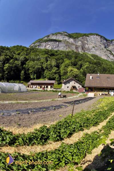 Nom de l'image : D2010779-1 — Description :