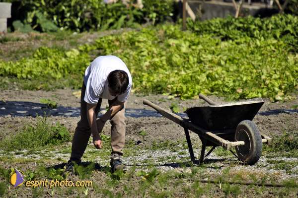 Nom de l'image : D2010823-1 — Description :