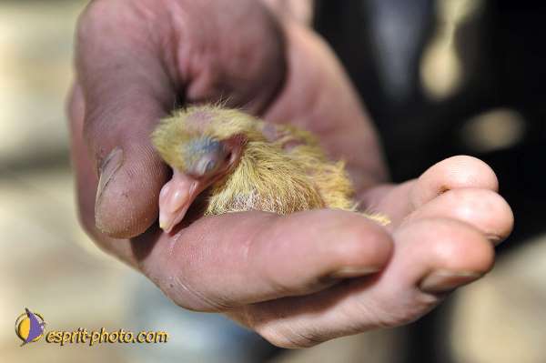 Nom de l'image : D2010859-1 — Description :