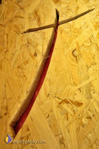 Nom de l'image : D2011316-1 — Description :