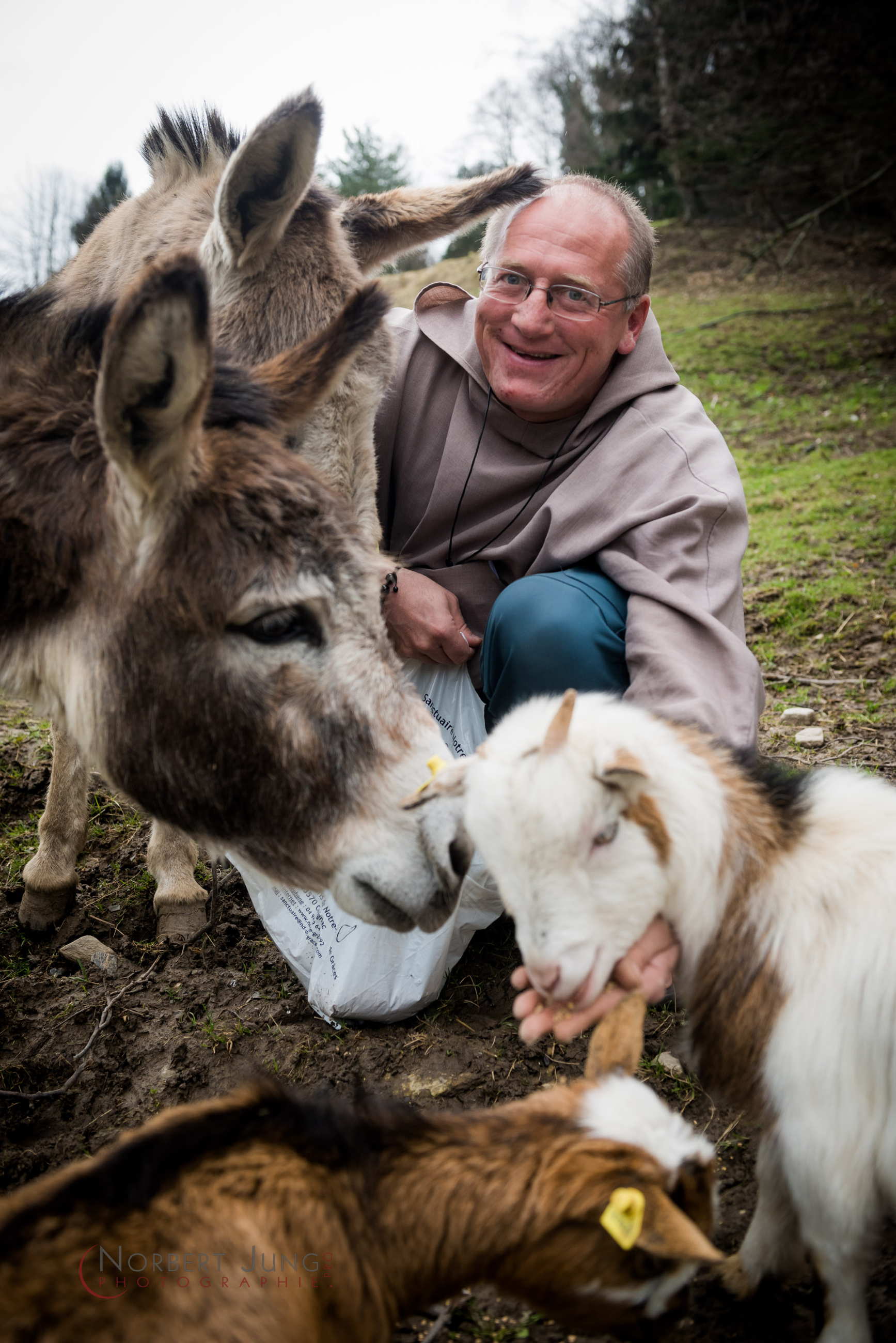 Nom de l'image : D8e018751_(c)Norbert-JUNG.com — Description :