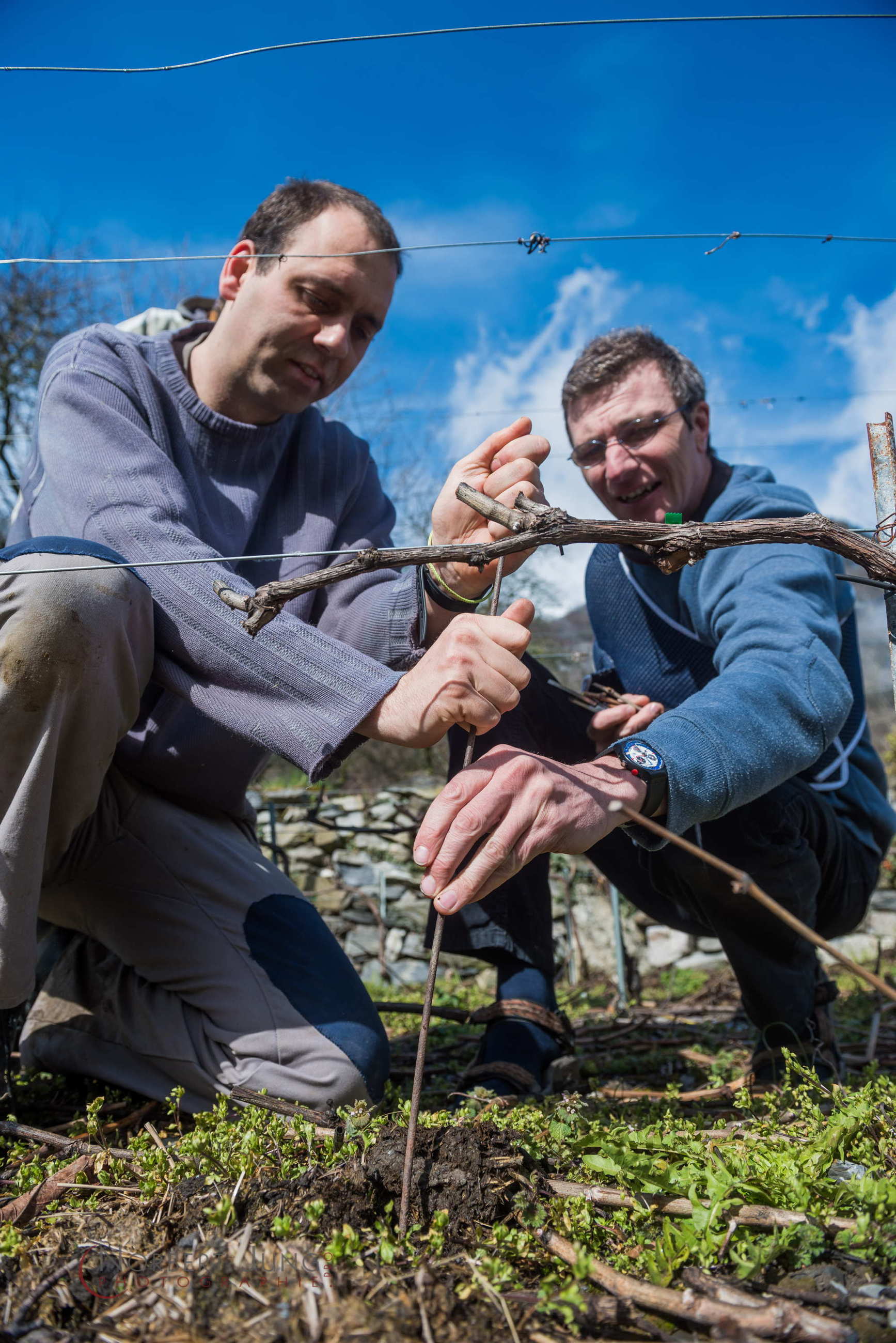 Nom de l'image : D8e019110_(c)Norbert-JUNG.com — Description :