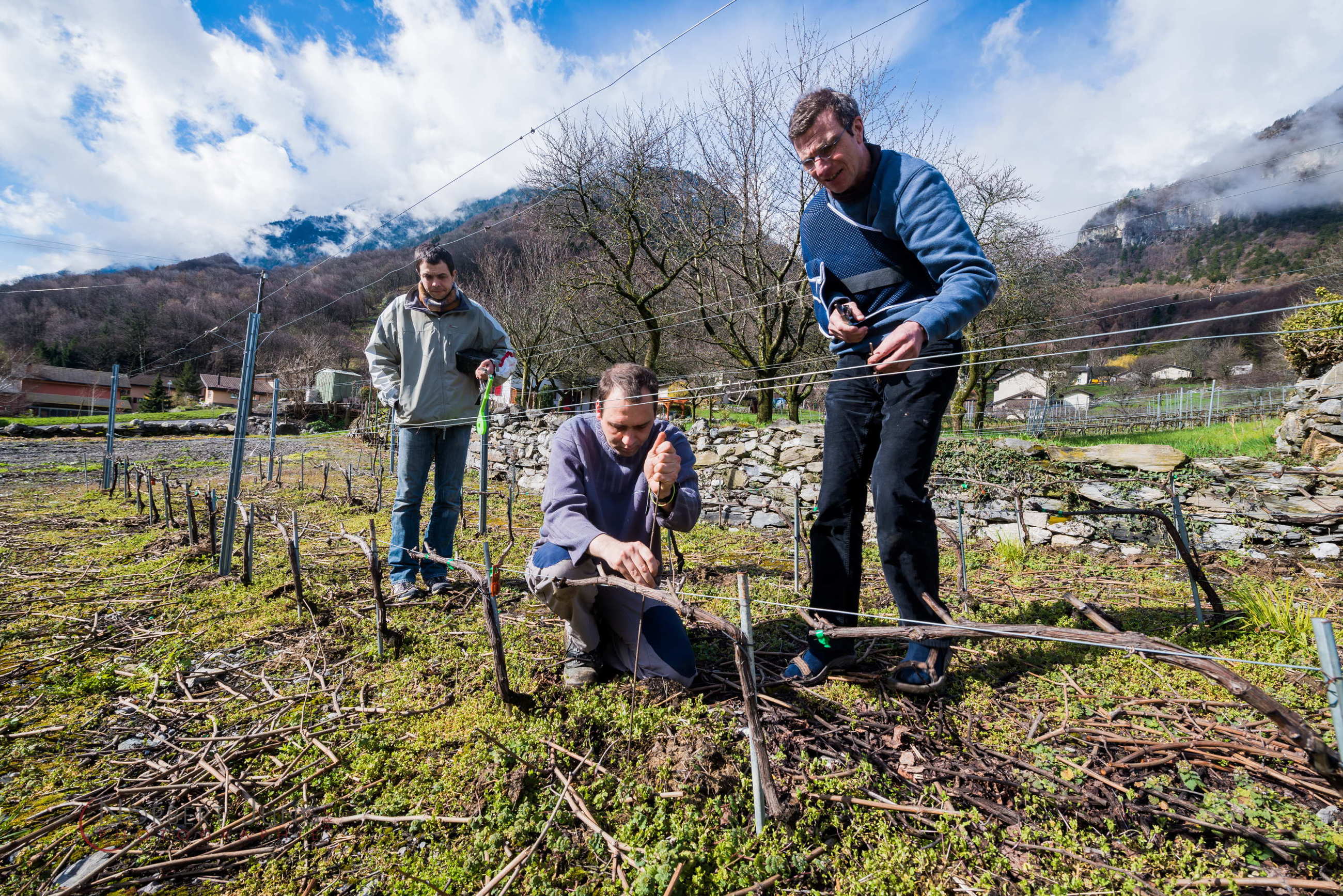 Nom de l'image : D8e019142_(c)Norbert-JUNG.com — Description :