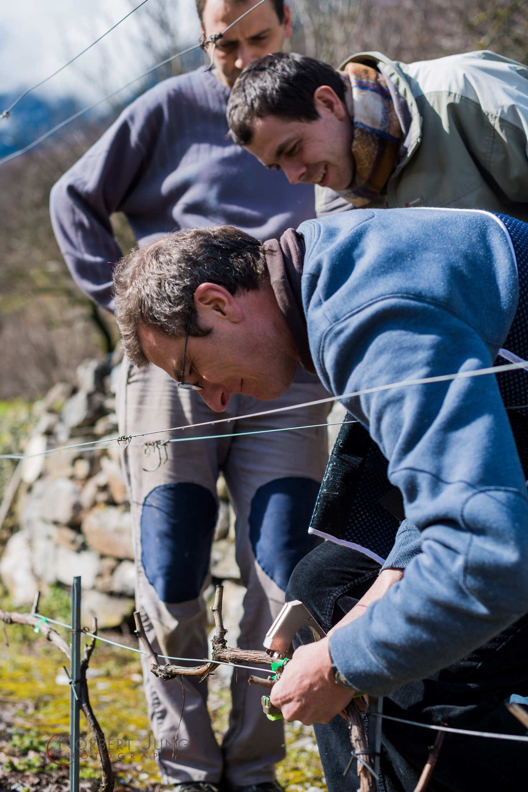 Nom de l'image : D8e019168_(c)Norbert-JUNG.com — Description :