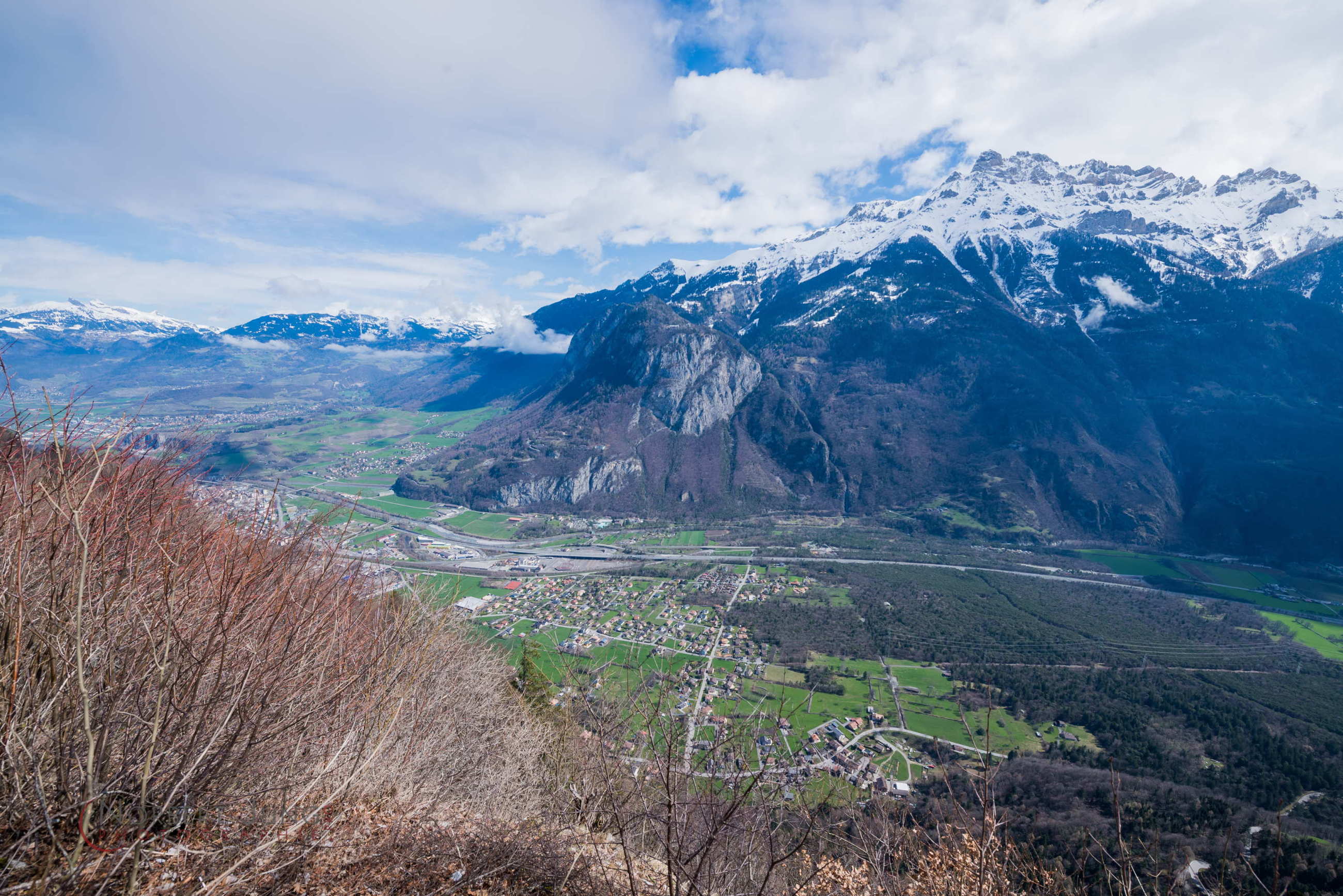 Nom de l'image : D8e019334_(c)Norbert-JUNG.com — Description :