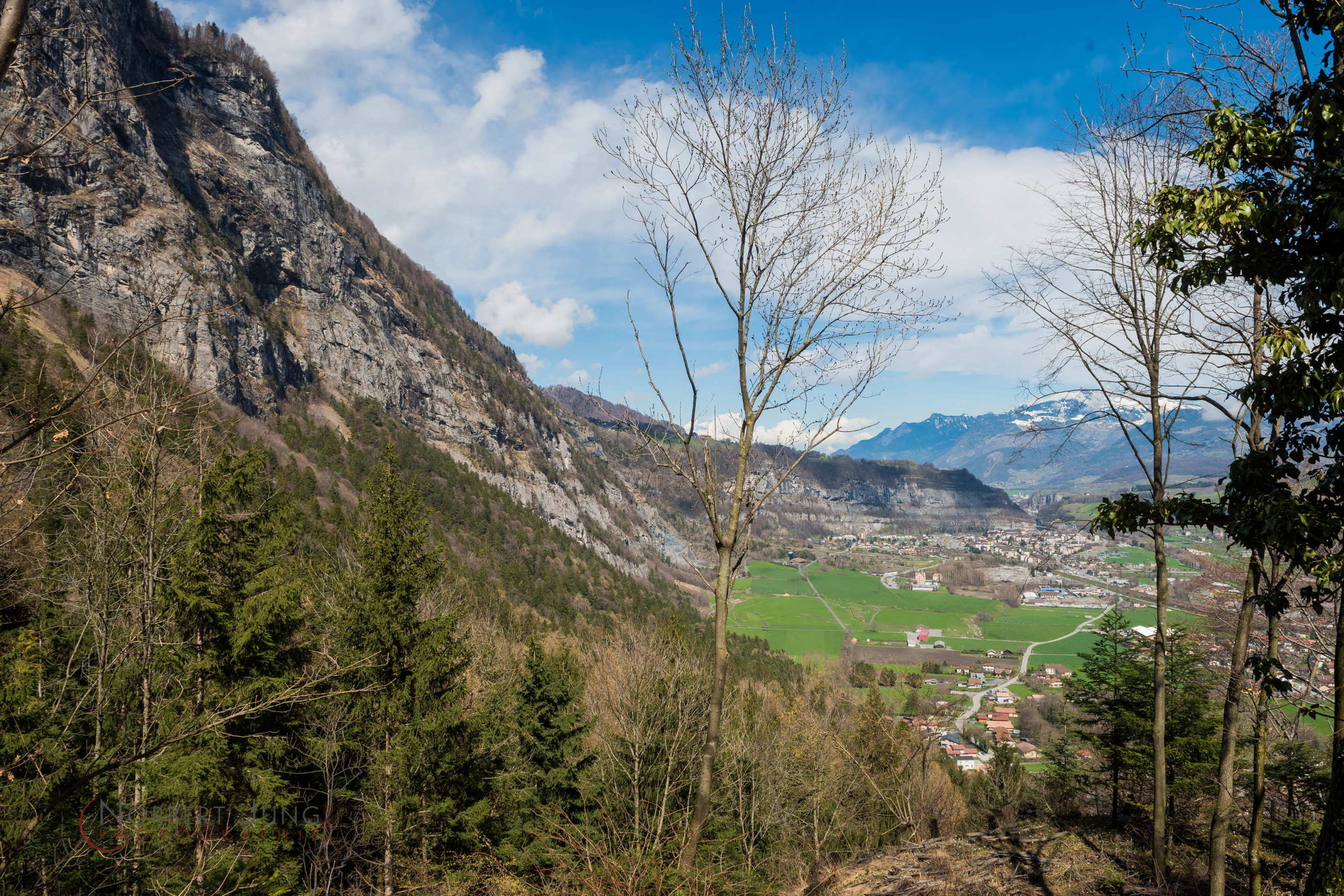 Nom de l'image : D8e019338_(c)Norbert-JUNG.com — Description :