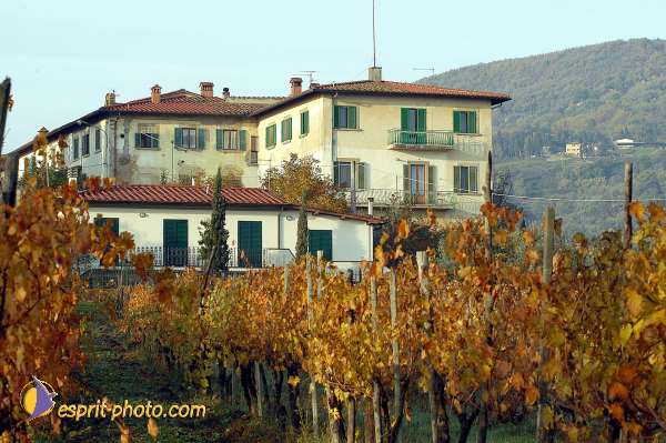 Nom de l'image : D1086357-01 — Description :