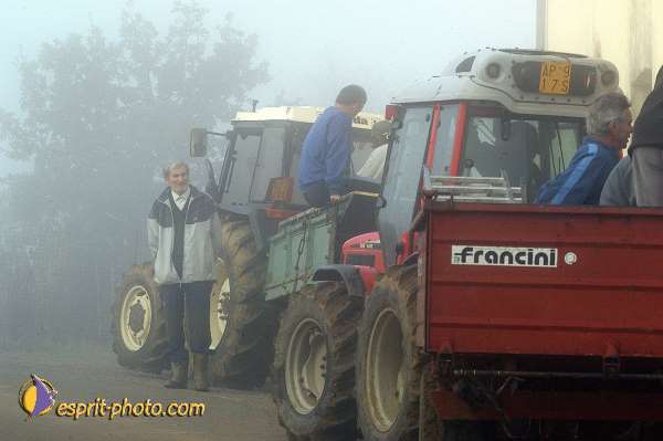 Nom de l'image : D1086895-01 — Description :