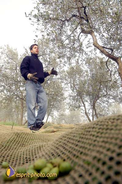 Nom de l'image : D1087079-01 — Description :